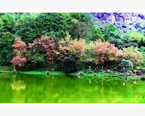 玉灵膏：驱寒神器，备孕妈咪的救星