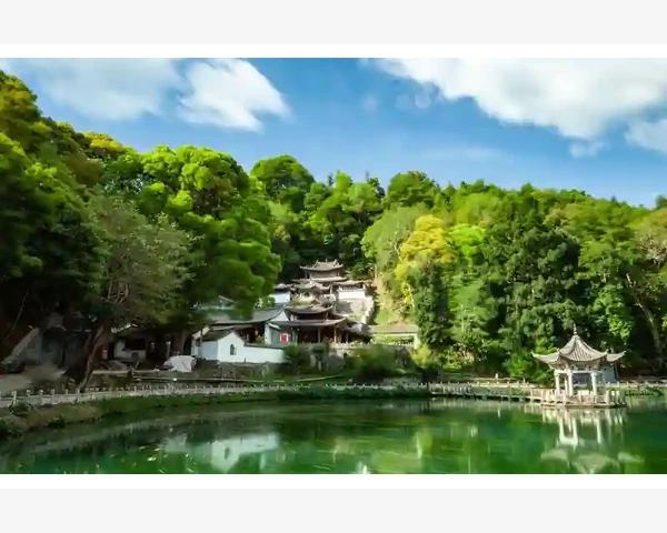 产后补气血，这些茶饮你不能错过！