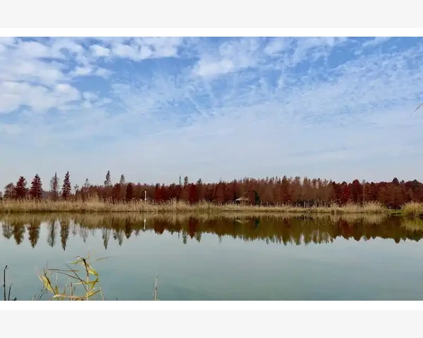 产后补气血，喝什么茶最合适？