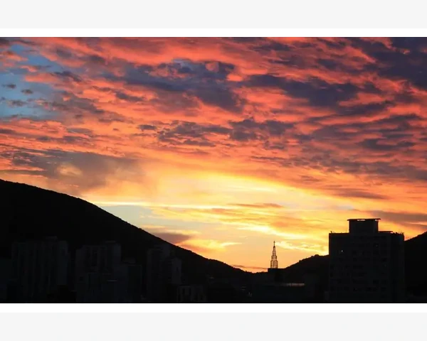 产后补气血，何首选？天然中草药畅饮为最佳选择